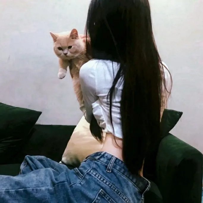 猫和老鼠：飙风天王